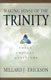 Erickson: Making Sense of the Trinity: Three Crucial Questions